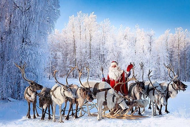 Reindeers in christmas