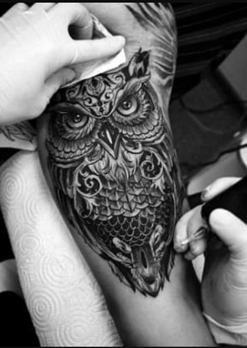 Owl Celtic Tattoo