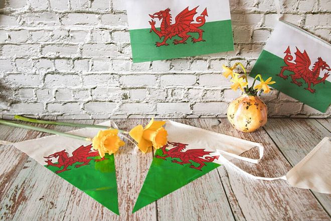 Yellow Flowers And Saint David's Day flag